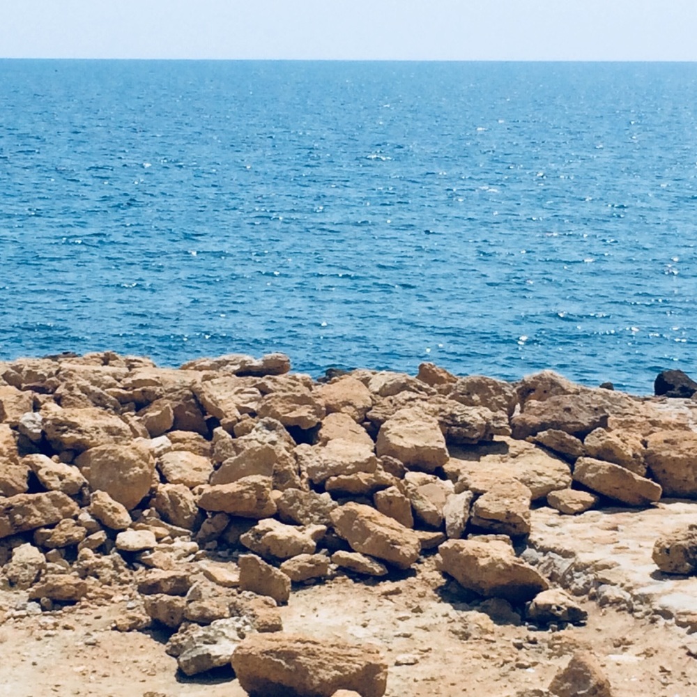 Meet your Posher, Carmela